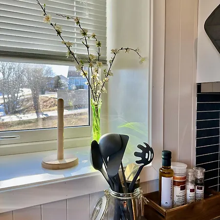 Airport Διαμέρισμα Leknes